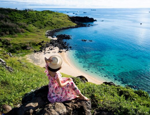 21731885271 1679385372506