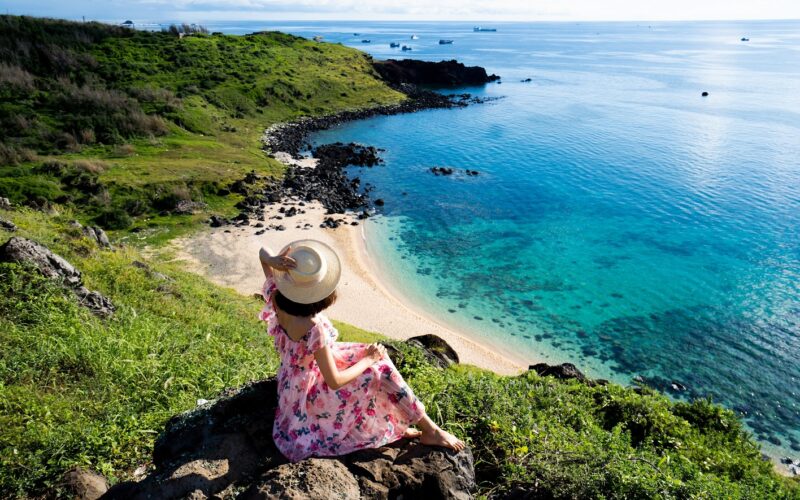 21731885271 1679385372506