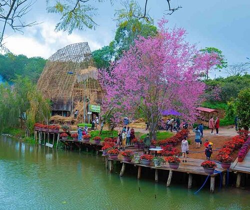 Kinh nghiem du lich mang den 1